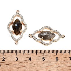 Natural Labradorite Faceted Connector Charms&nbsp;G-B081-01G-02