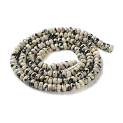Natural Dalmatian Jasper Beads Strands&nbsp;G-K343-C36-01