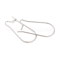 Tarnish Resistant 316 Surgical Stainless Steel Hook Earrings&nbsp;STAS-E009-5