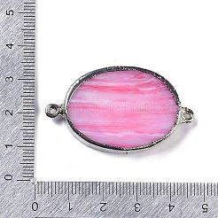 Synthetic Picture Jasper Dyed Connector Charms&nbsp;KK-F868-19P-02