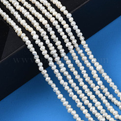 Natural Cultured Freshwater Pearl Beads Strands&nbsp;PEAR-N013-02H