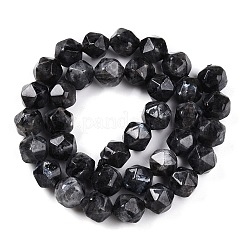 Natural Larvikite Beads Strands&nbsp;G-T141-04A