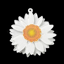 Printed Transparent Acrylic Pendants&nbsp;SACR-P029-B01