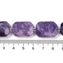 Natural Lepidolite Beads Strands&nbsp;G-B125-P25-01