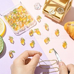 40Pcs 2 Styles Glass & Acrylic Pendants&nbsp;PALLOY-CJ00173