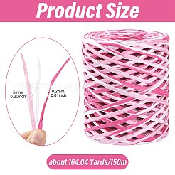 1 Roll Segment Dyed Raffia Paper Cords for DIY Craft&nbsp;OCOR-CJ0004-12