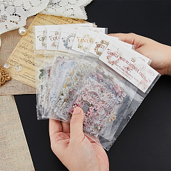 6Sets 6 Styles PET Self-Adhesive Stickers&nbsp;DIY-DC0003-50