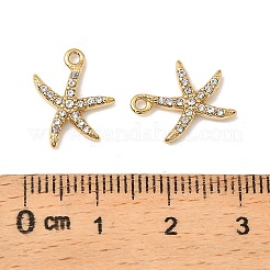 304 Stainless Steel with Crystal Rhinestone Charms&nbsp;STAS-G358-05G-06