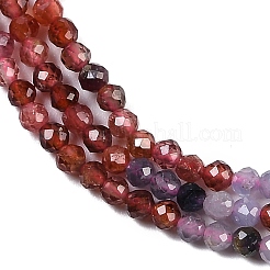Natural Colorful Spinel Beads Strands&nbsp;G-P553-G03-01