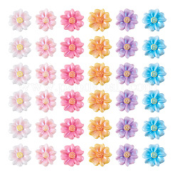 60Pcs 6 Colors Opaque Resin Cabochons&nbsp;RESI-TA0005-43