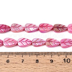 Natural Freshwater Shell Carved Beads Strands&nbsp;SHEL-N038-25E