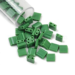 520Pcs 2 Style 2-Hole Glass Seed Beads&nbsp;SEED-NB0001-72B