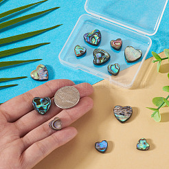12Pcs 2 Styles Natural Abalone Shell/Paua Shell Beads&nbsp;SHEL-TA0001-41