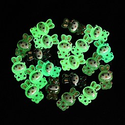 Luminous Resin Enamel Beads&nbsp;RE-CBAC4C7-25