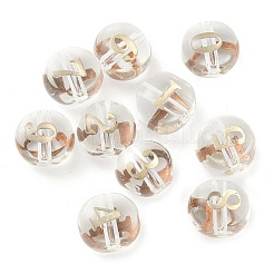 10Pcs Transparency Glass Beads&nbsp;GLAA-Q001-01A