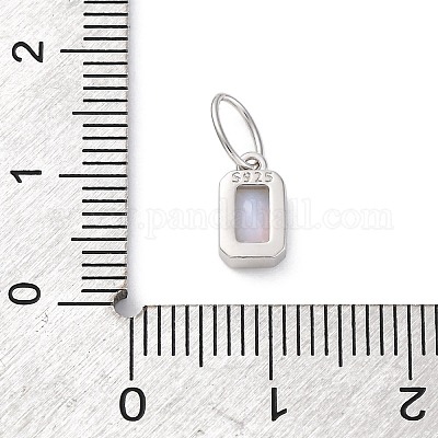 925 Sterling Silver Cubic Zirconia Charms&nbsp;STER-NH0014-01P-06-1