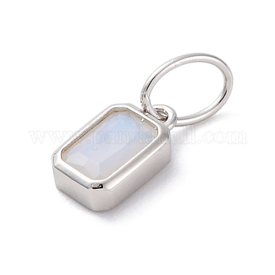 925 Sterling Silver Cubic Zirconia Charms&nbsp;STER-NH0014-01P-06-1