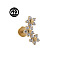G23 Titanium with Clear Cubic Zirconia Internally Threaded Labrets, Moon, Golden, 8mm, Pin: 1.2mm
