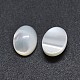 Shell Cabochons&nbsp;SSHEL-E567-25D-1