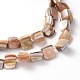 Erose Shell Beads Strands&nbsp;PBB071Y-3