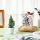 Foldable PET Packing Boxes&nbsp;CON-WH0099-87C-5