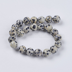 Natural Dalmation Jasper Beads Strands&nbsp;X-G-G515-8mm-06