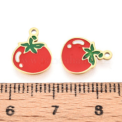 304 Stainless Steel Charms&nbsp;STAS-N112-08G