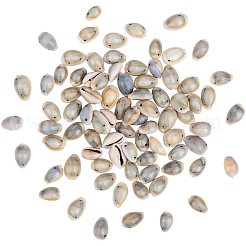 Cowrie Shell Links&nbsp;SSHEL-PH0002-45