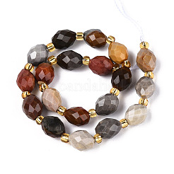 Natural Picture Jasper Beads Strands&nbsp;G-N342-53-8x6-09