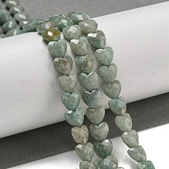 Natural Amazonite Beads Strands&nbsp;G-P544-E09-01