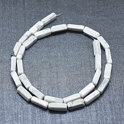Natural Howlite Beads Strands&nbsp;G-F631-E10