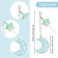 Resin & Plastic Mobile Pendant Decoration&nbsp;HJEW-AB00621