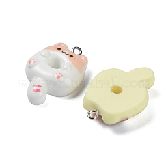 Resin Pendants&nbsp;FIND-K022-03P