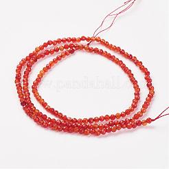Natural Carnelian Bead Strand&nbsp;G-G680-09