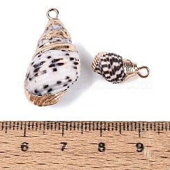 Electroplate Natural Spiral Shell Pendants&nbsp;SSHEL-Q100-44G
