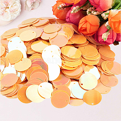 PVC Sequin Pendants&nbsp;KY-CY0001-19