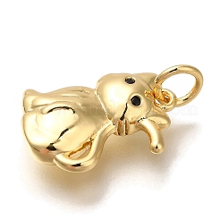 Rack Plating Brass Pendants&nbsp;KK-I720-07G