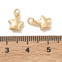 SHEGRACE Brass Pendants&nbsp;XGRQ3D243-458G