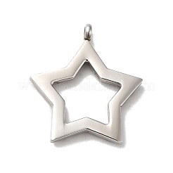 Non-Tarnish 304 Stainless Steel Pendants&nbsp;STAS-M311-10P