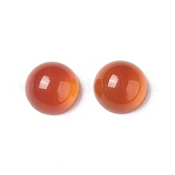 Natural Red Agate Cabochons&nbsp;G-G994-J03-01