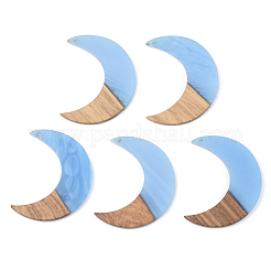 Resin & Walnut Wood Pendants&nbsp;RESI-S389-056A