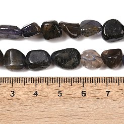 Natural Iolite/Cordierite/Dichroite Beads Strands&nbsp;G-A284-A02-02