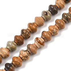 Natural Picture Jasper Beads Strands&nbsp;G-P595-C05-01
