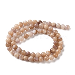 Natural Pink Shell Beads Strands&nbsp;SHEL-D002-A01-6mm