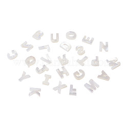 Natural Freshwater Shell Beads&nbsp;SHEL-CJ0001-02