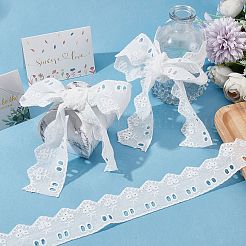 Hollow Cotton Lace Trim&nbsp;OCOR-GF0002-25