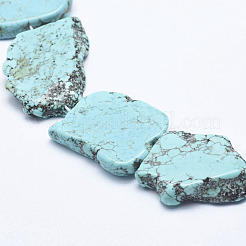 Natural Magnesite Beads Strands&nbsp;G-K244-08