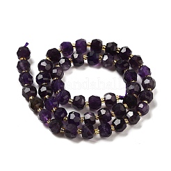 Natural Amethyst Beads Strands&nbsp;G-P508-A09-01