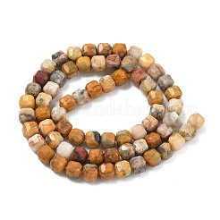 Natural Crazy Agate Beads Strands&nbsp;G-F797-A22-01