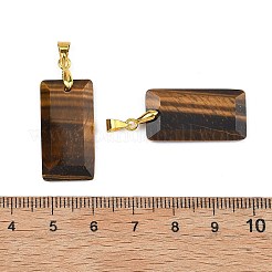 Natural Tiger Eye Faceted Pendants&nbsp;G-L623-03G-03